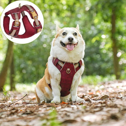 harnais chien-anti traction variante rougette