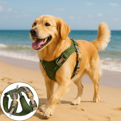 Harnais chien anti traction ǀ ToutouPro™ - Marseille - Toutou Pros