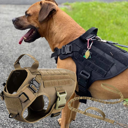 harnais chien robuste