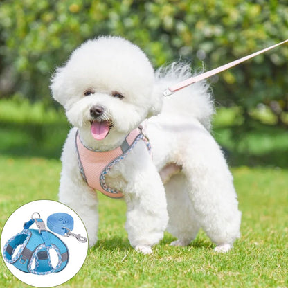 harnais petit chien bleu