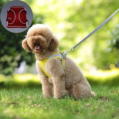 Harnais petit chien ǀ ToutouPro™ - Paris - Toutou Pros