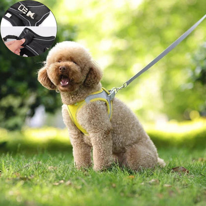 harnais petit chien jaune avantage