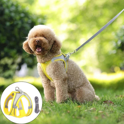 Harnais petit chien ǀ ToutouPro™ - Paris - Toutou Pros