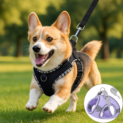 Harnais petit chien ǀ ToutouPro™ - Bordeaux - Toutou Pros