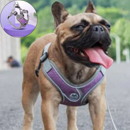 harnais petit chien mauvettes