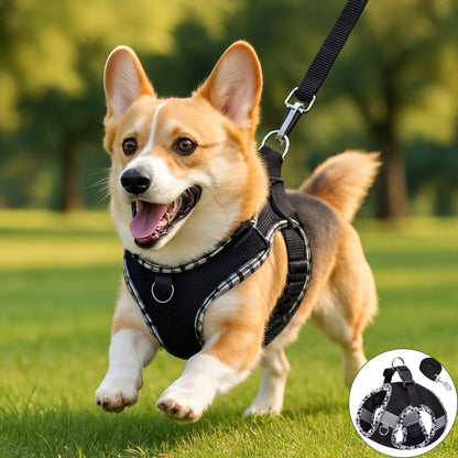 harnais petit chien noir variante