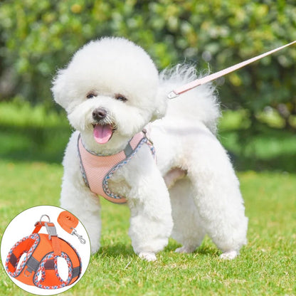 harnais petit chien orange