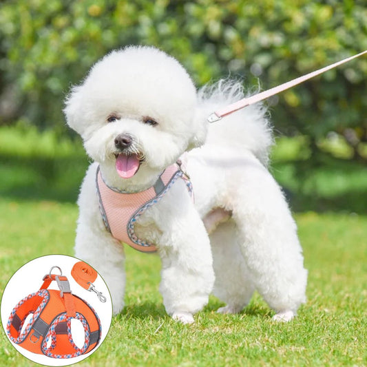 Harnais petit chien ǀ ToutouPro™ - Bordeaux - Toutou Pros