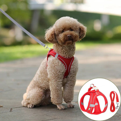 harnais petit chien rouge