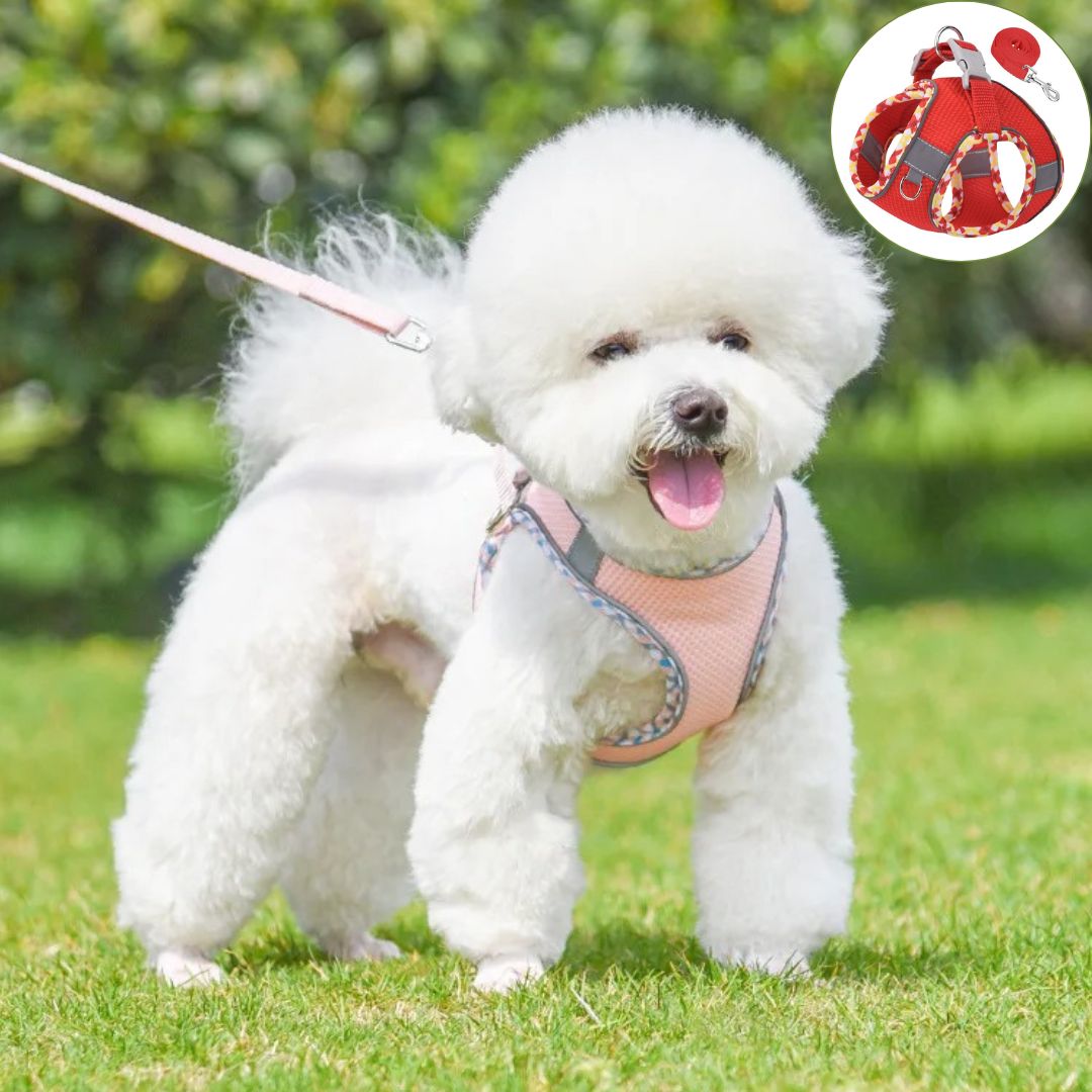 Harnais petit chien ǀ ToutouPro™ - Bordeaux - Toutou Pros