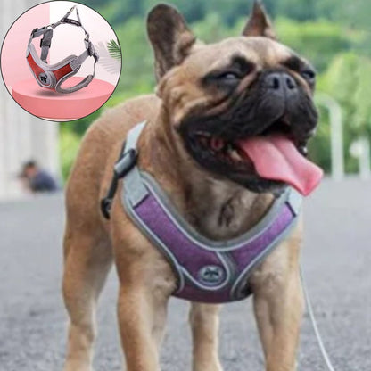 harnais petit chien rouget