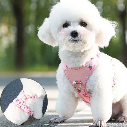 Harnais petit chien ǀ ToutouPro™ - Lyon - Toutou Pros