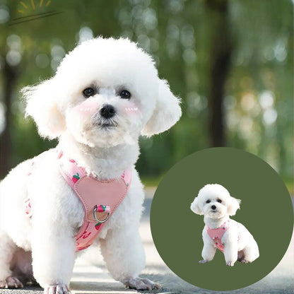 Harnais petit chien ǀ ToutouPro™ - Lyon - Toutou Pros