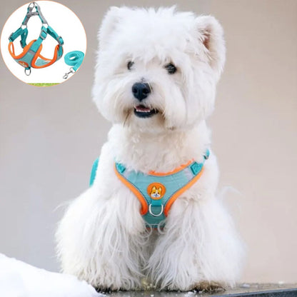 harnais petit chien variantes