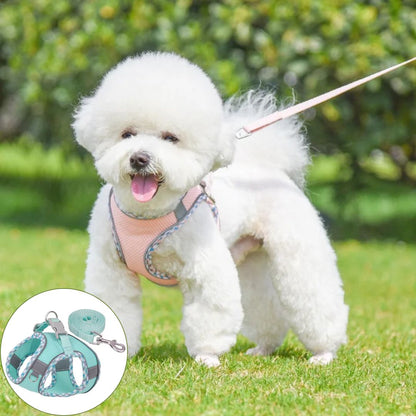 harnais petit chien vert