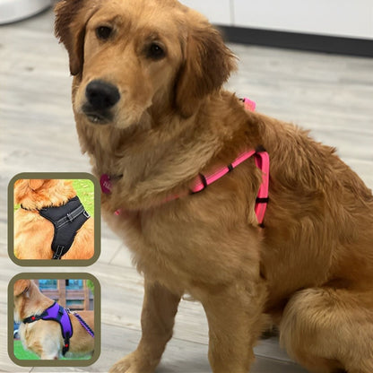 harnais pour chien WoufCalinoumix