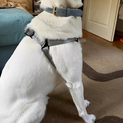 harnais pour chien WoufSage