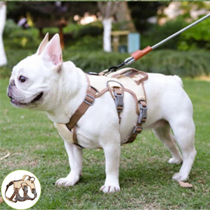 Harnais pour chien ǀ ToutouPro™ - Lyon - Toutou Pros