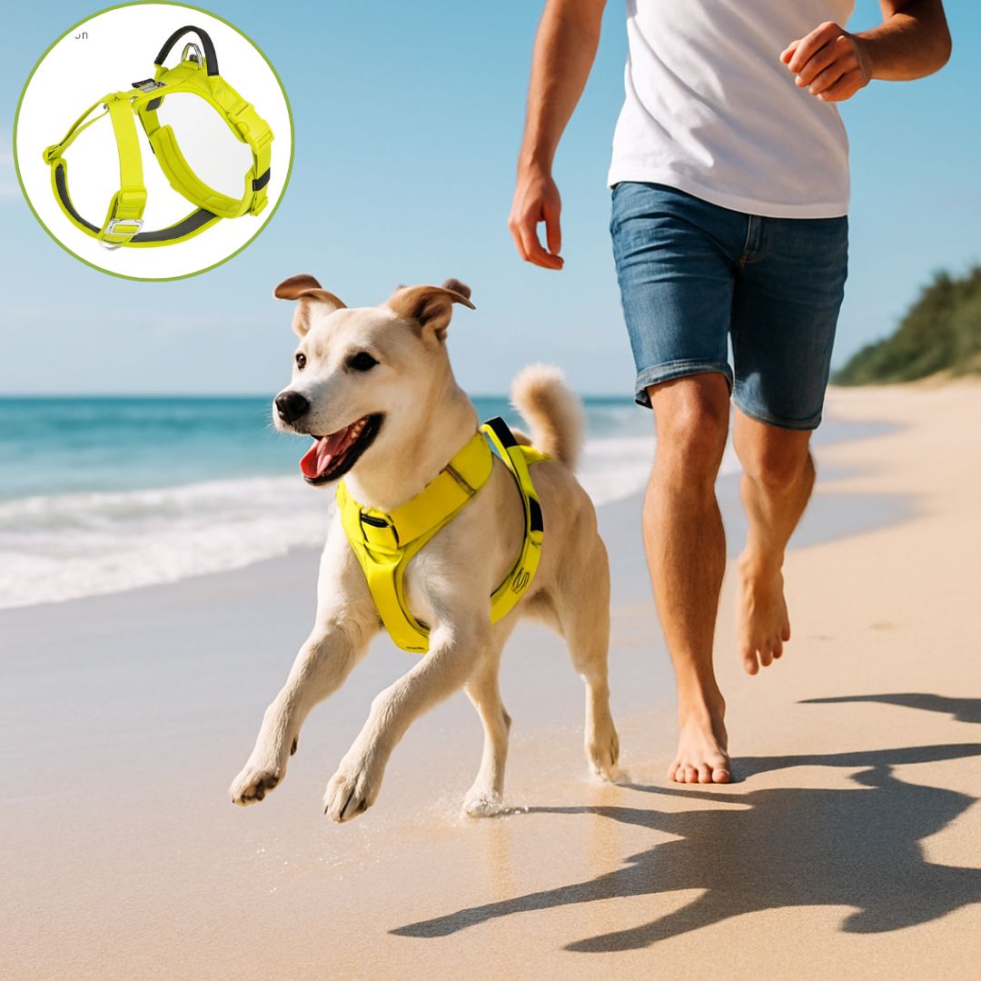 Harnais pour chien ǀ ToutouPro™ - Bordeaux - Toutou Pros