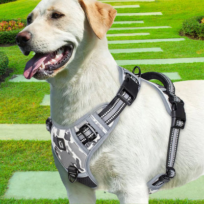 harnais pour chien gris