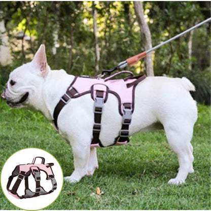 Harnais pour chien ǀ ToutouPro™ - Lyon - Toutou Pros