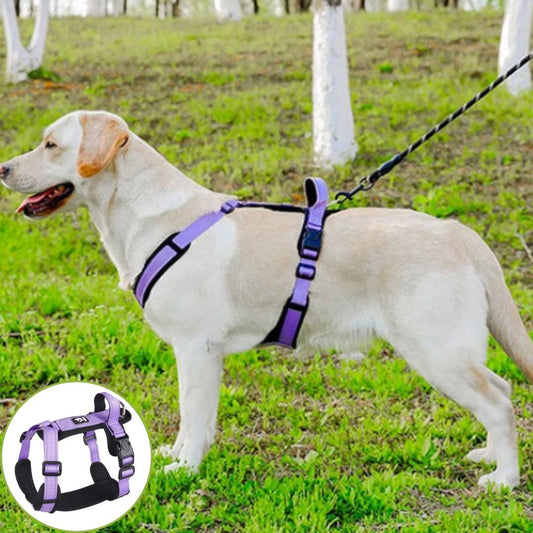 Harnais pour chien ǀ ToutouPro™ - Nice - Toutou Pros