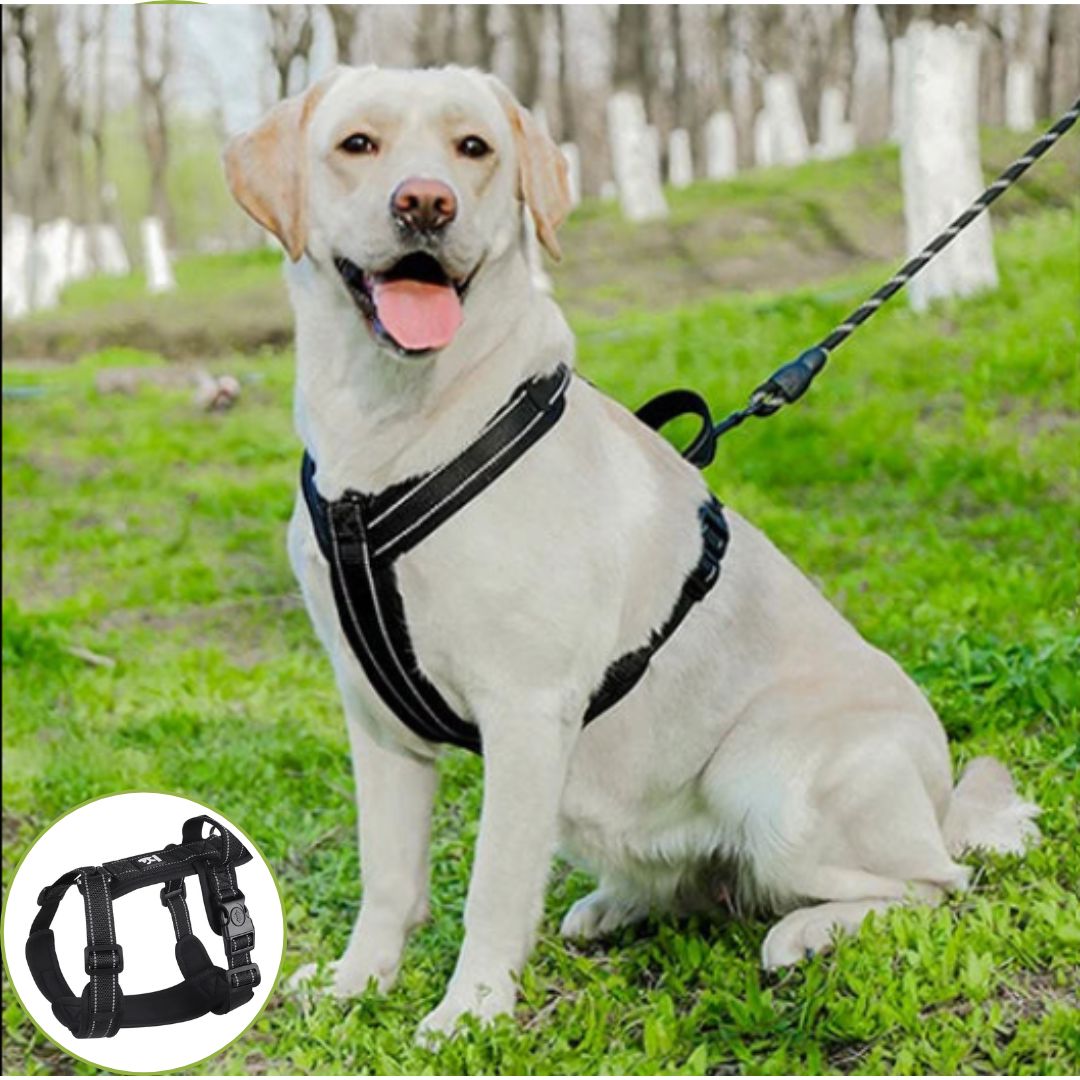 harnais pour chien noir fonce