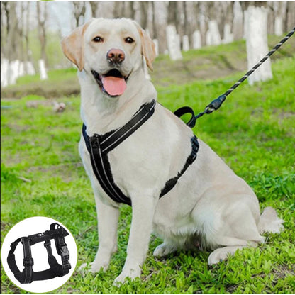 Harnais pour chien ǀ ToutouPro™ - Nice - Toutou Pros