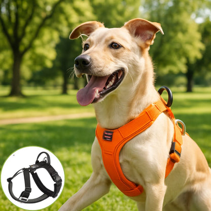 harnais pour chien noir orange