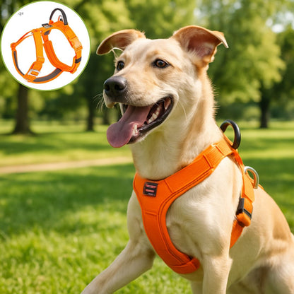 Harnais pour chien ǀ ToutouPro™ - Bordeaux - Toutou Pros