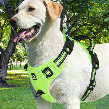 harnais pour chien vert