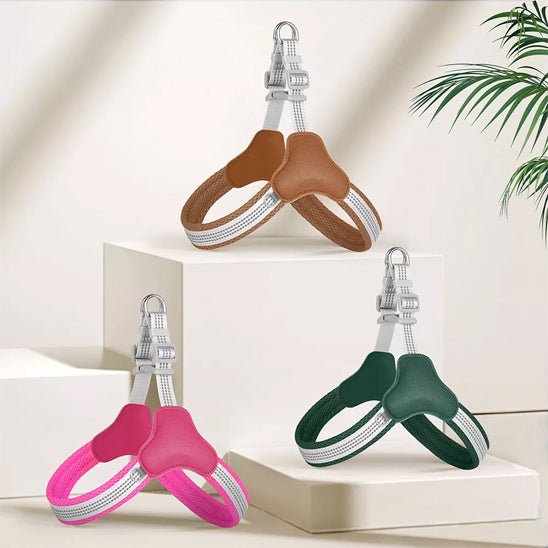 harnais pour chien virile