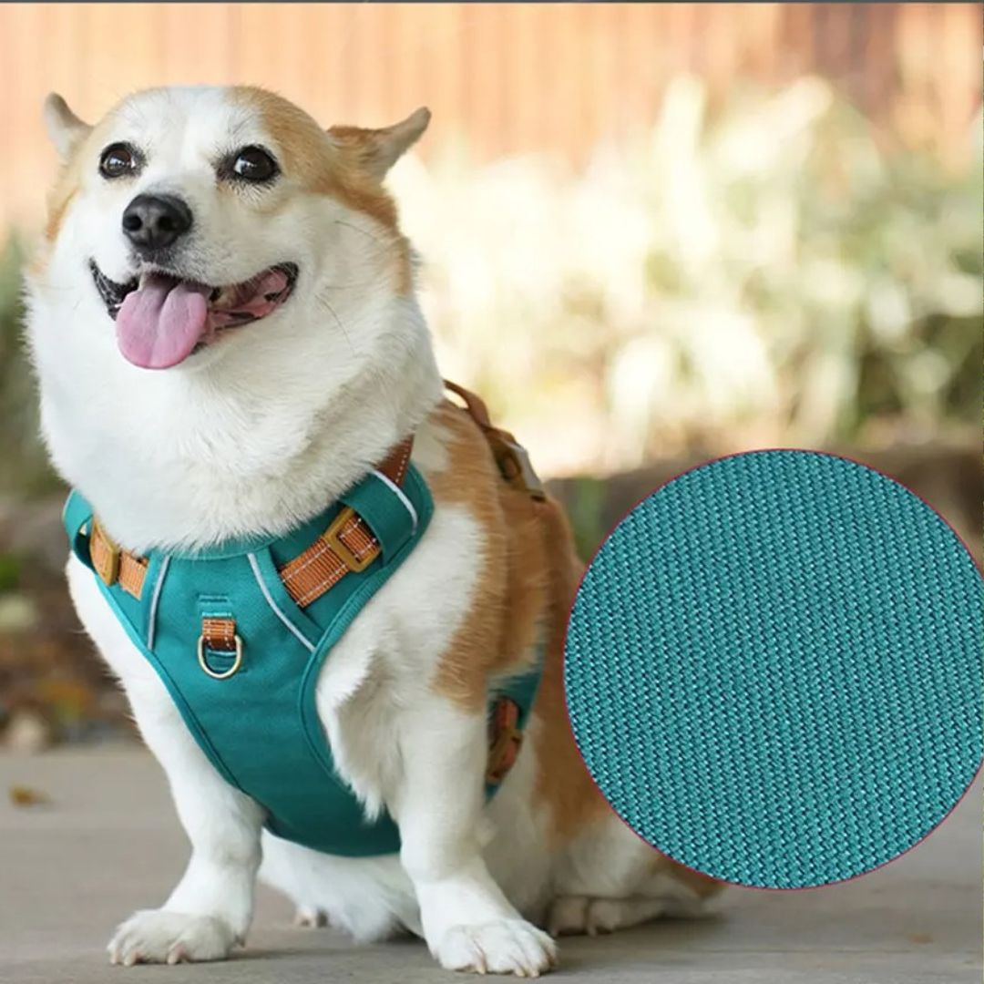 harnais pour petit chien avriante vertes