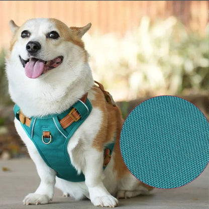 harnais pour petit chien avriante vertes