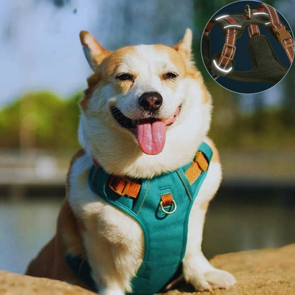 harnais pour petit chien l avantage