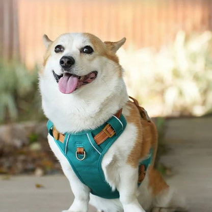 harnais pour petit chien vertes